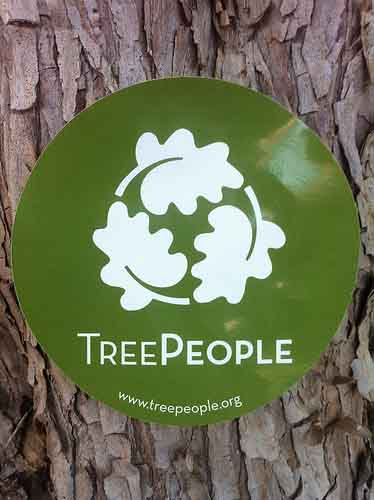 Custom-Circle-Die-Cut-Stickers-for-Tree-People-printed-by-StickerGiant