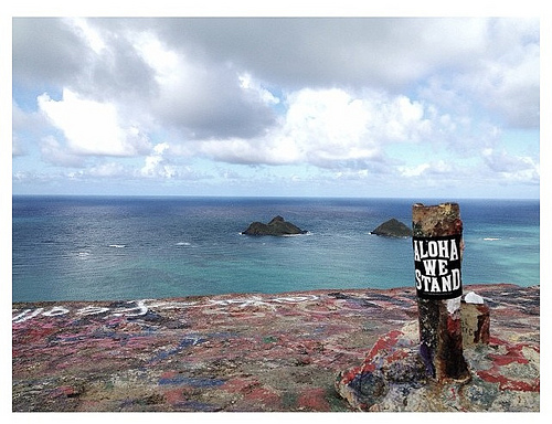 Aloha We Stand Sticker with an Ocean View