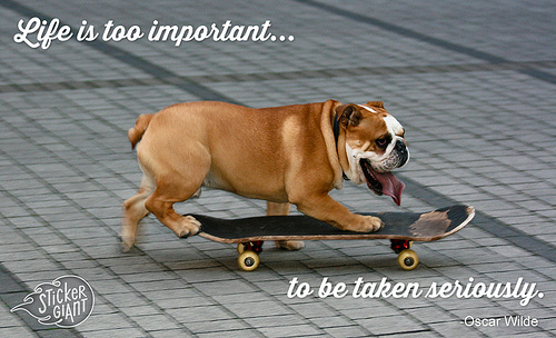 Cool-dog-skating-on-a-skateboard-with-quote-that-says-Life-is-too-important-to-be-taken-seriously