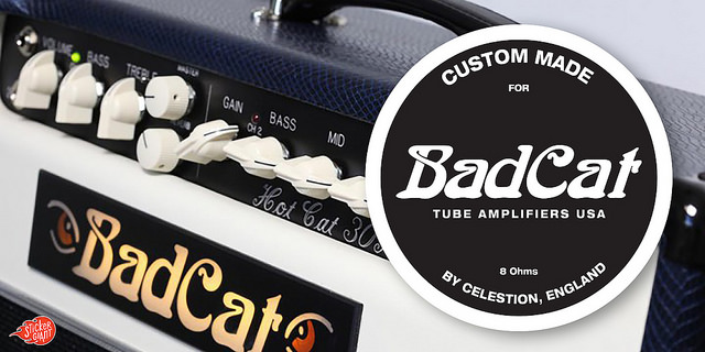 Bad Cat Amps