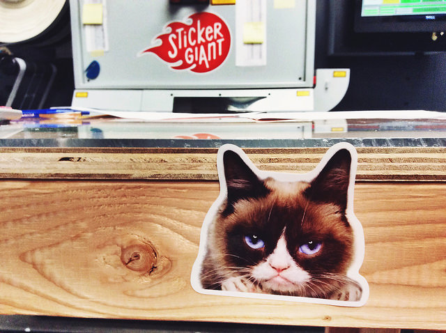 Pciture-of-a-Grumpy-Cat-sticker-printed-by-StickerGiant