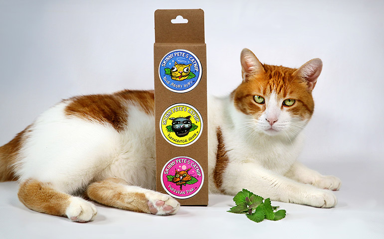 Skinny-Petes-Catnip-Labels-on-a-box-of-catnip-with-Tucker-the-Cat-to-show-custom-labels-printed-by-StickerGiant