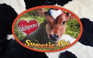 Custom Oval Stickers for Kleinpeter Sweetie Pie