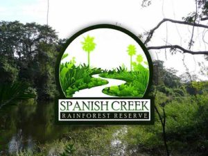 Custom shaped stickers for the Spanish Creek Rainforest Reserve Printed by StickerGiant