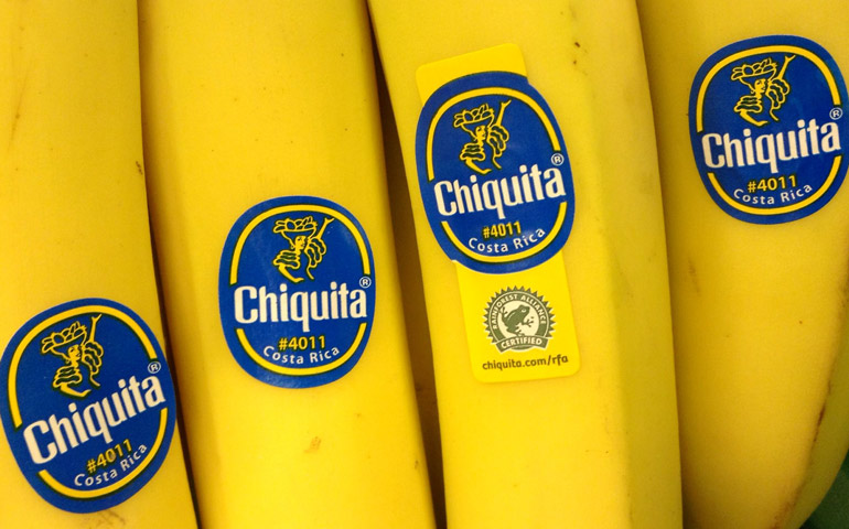 Image-of-Chiquita-Banana-Original-Image-from-JeepersMedia-shared-on-StickerGiant-Blog-2019